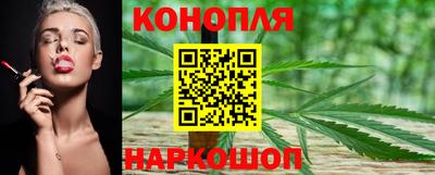 Альфа ПВП Волгодонск